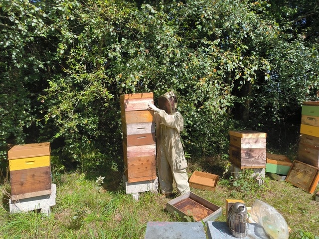 Manoir de charme soucieux de l'écologie